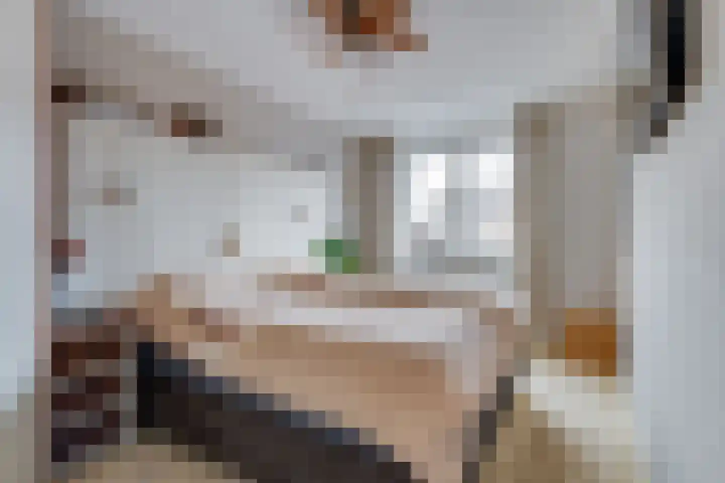Hoepmakersstraat 13 Ameide thumbnail 21