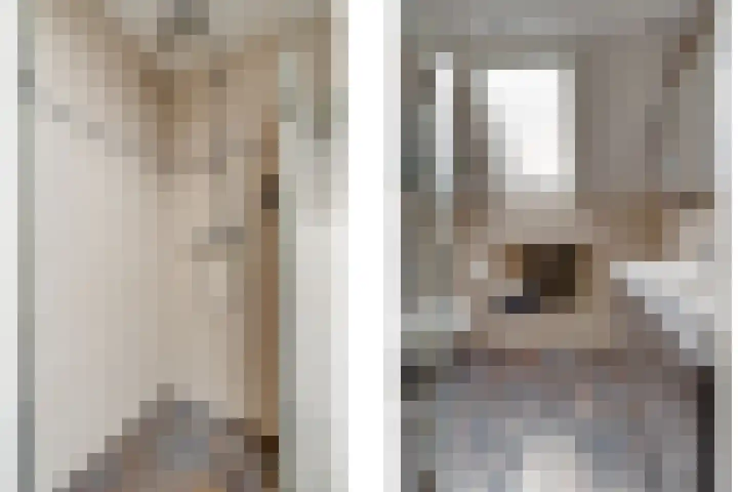 Hoepmakersstraat 13 Ameide thumbnail 25
