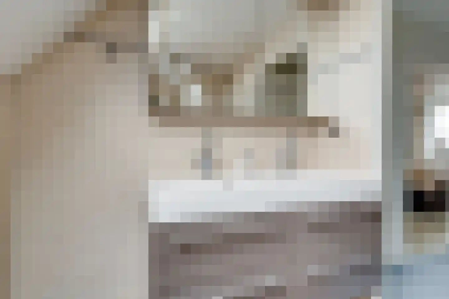 Hoepmakersstraat 13 Ameide thumbnail 26