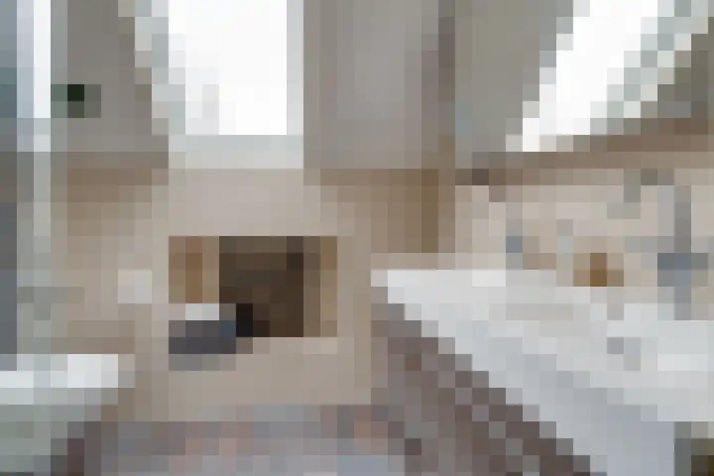 Hoepmakersstraat 13 Ameide thumbnail 27