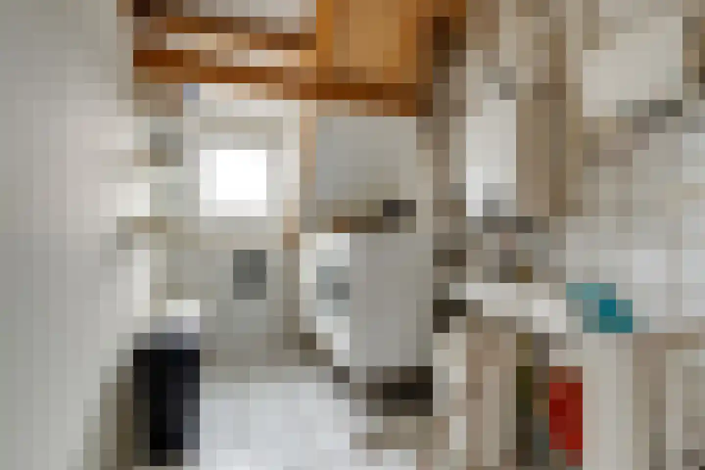 Hoepmakersstraat 13 Ameide thumbnail 34