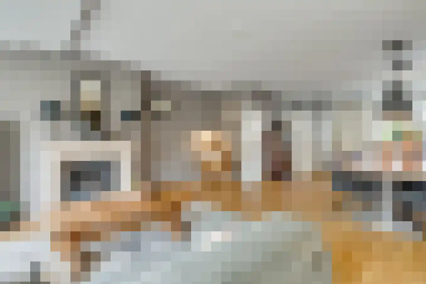 Hoepmakersstraat 13 Ameide thumbnail 4