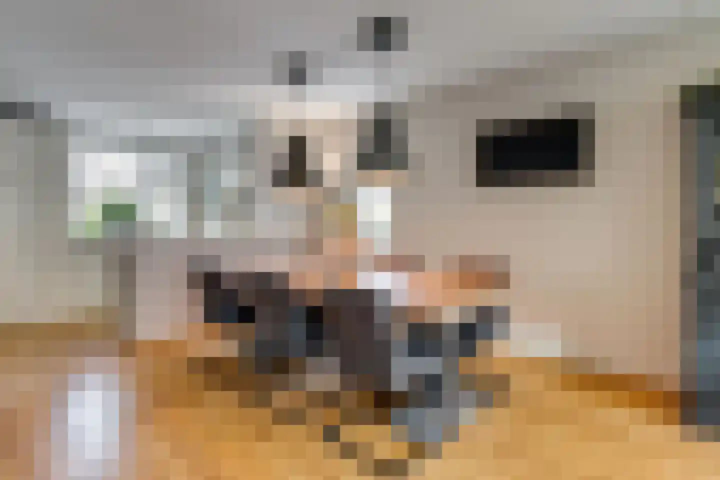 Hoepmakersstraat 13 Ameide thumbnail 5