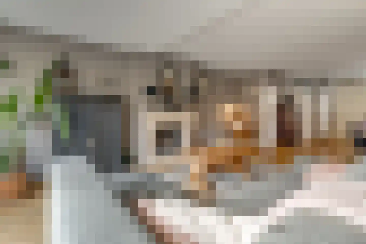 Hoepmakersstraat 13 Ameide thumbnail 6