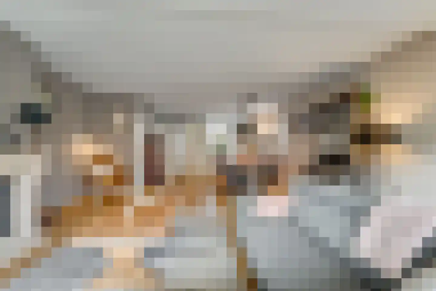 Hoepmakersstraat 13 Ameide thumbnail 7