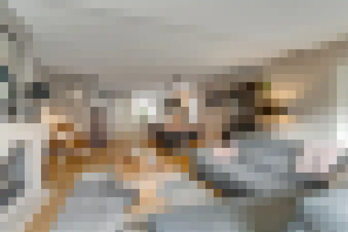 Hoepmakersstraat 13 Ameide thumbnail 8