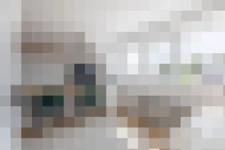 Hoepmakersstraat 9 Ameide thumbnail 25