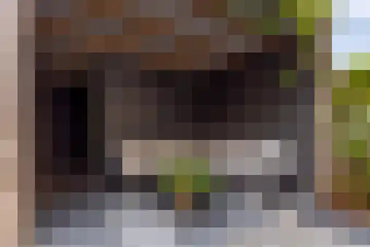 Hoepmakersstraat 9 Ameide thumbnail 29