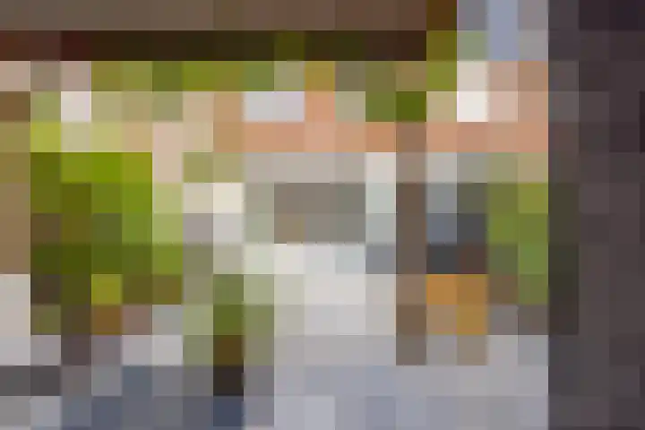 Hoepmakersstraat 9 Ameide thumbnail 30