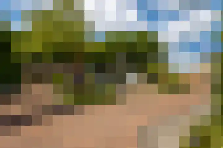 Hoepmakersstraat 9 Ameide thumbnail 35