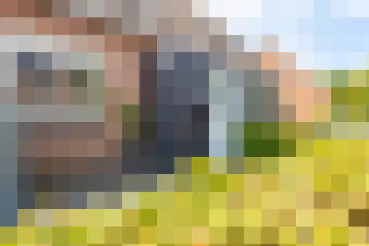 Hoepmakersstraat 9 Ameide thumbnail 5