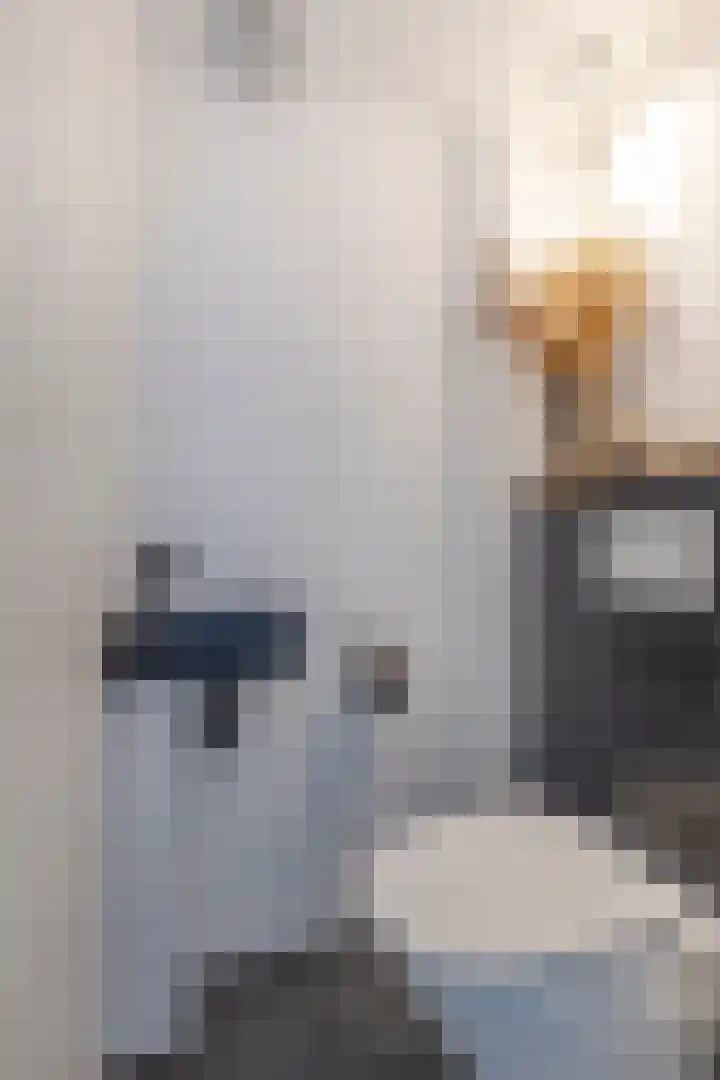 Hoepmakersstraat 9 Ameide thumbnail 7