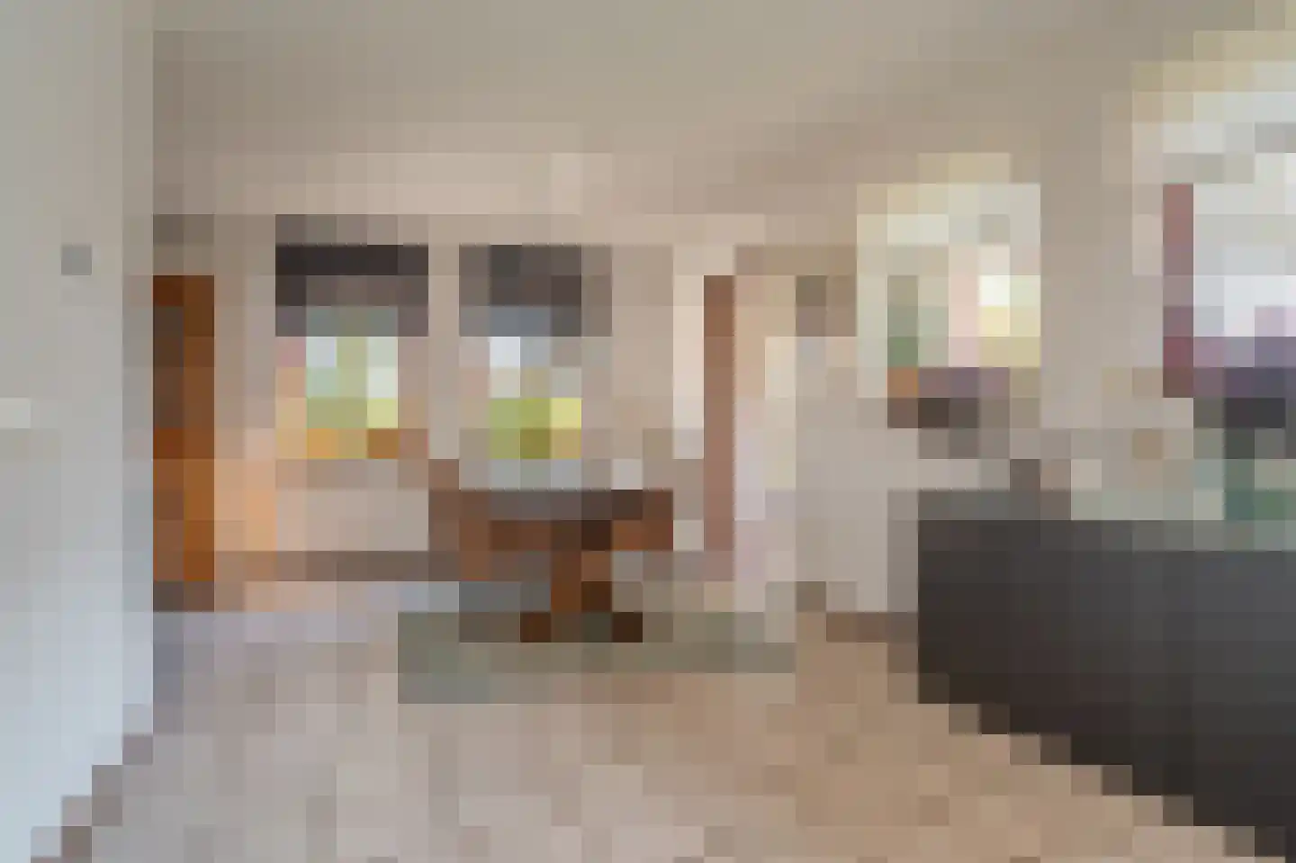 Hoethslaan 11 A Heiligerlee thumbnail 20