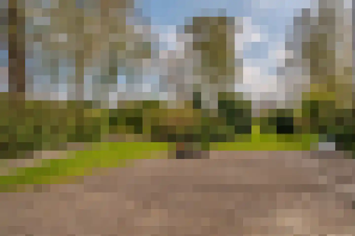 Hoethslaan 11 A Heiligerlee thumbnail 52