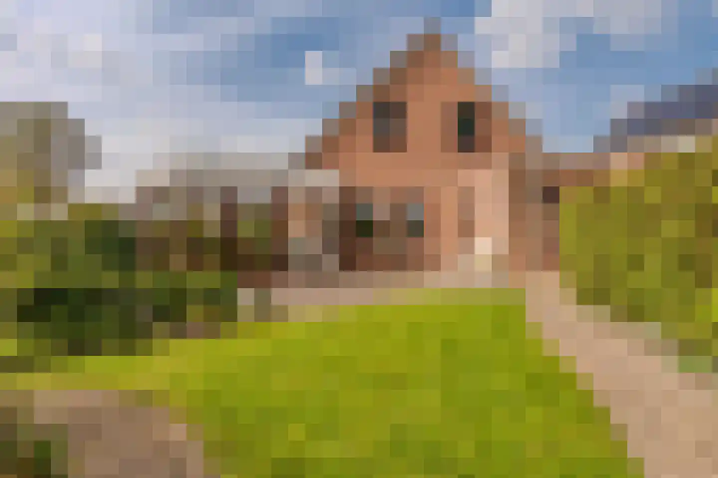 Hoethslaan 11 A Heiligerlee thumbnail 54