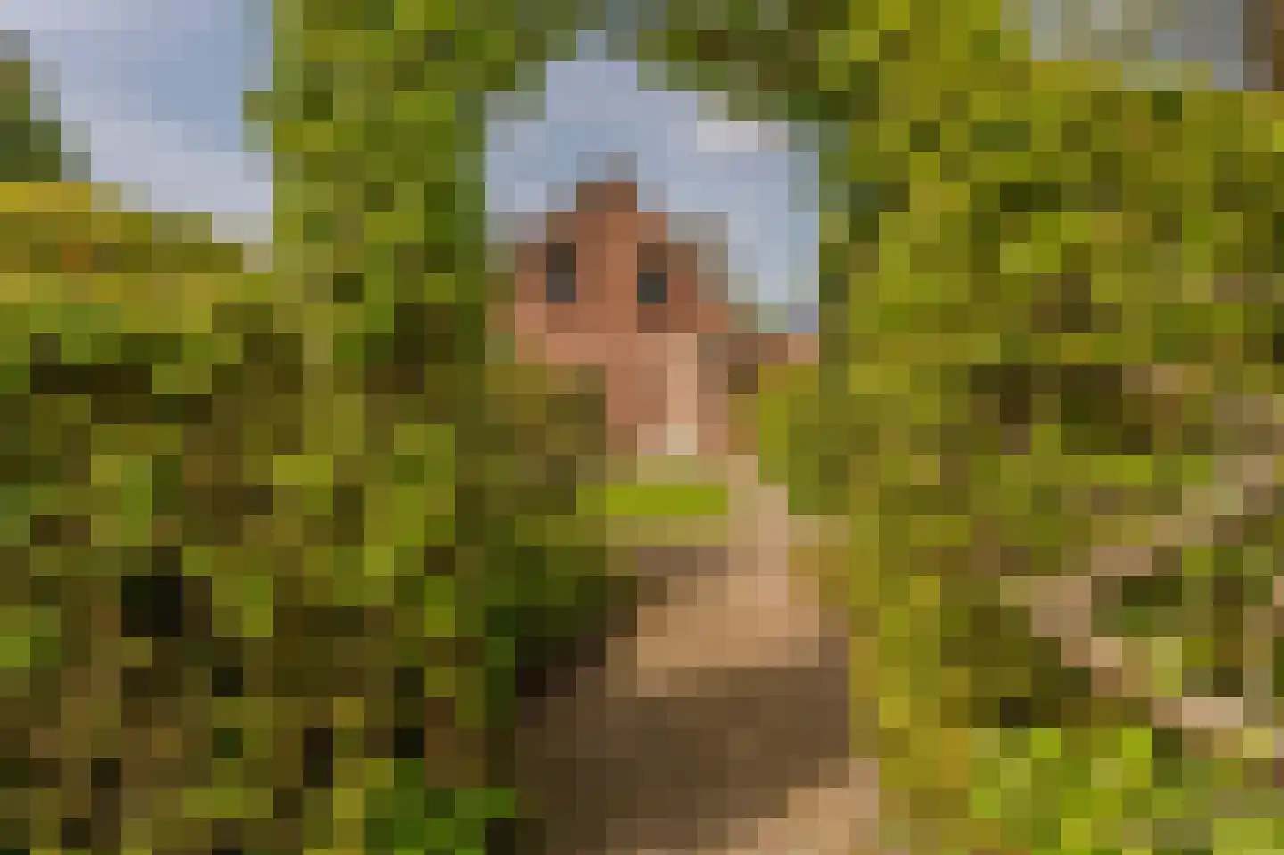 Hoethslaan 11 A Heiligerlee thumbnail 55