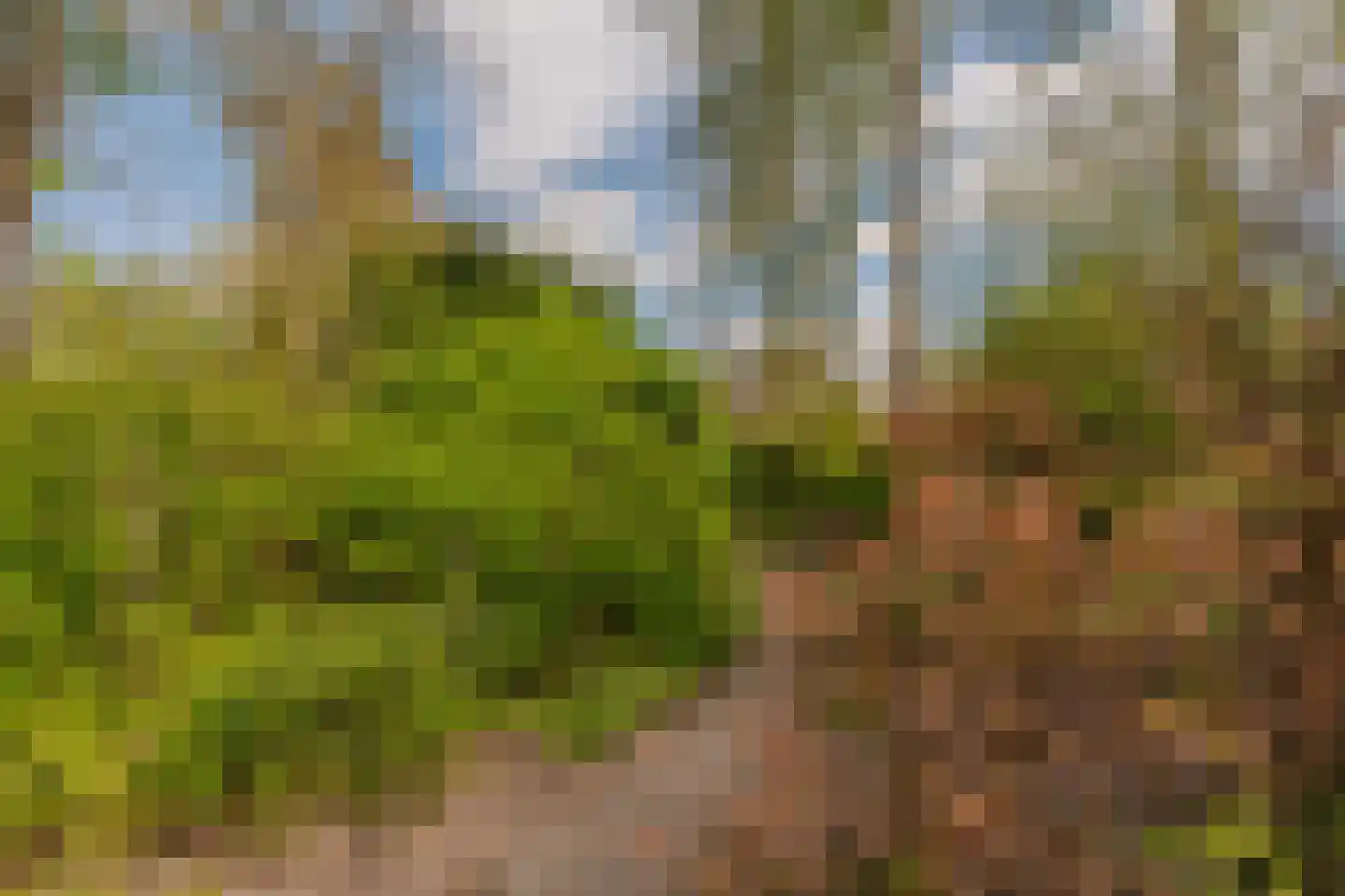 Hoethslaan 11 A Heiligerlee thumbnail 56