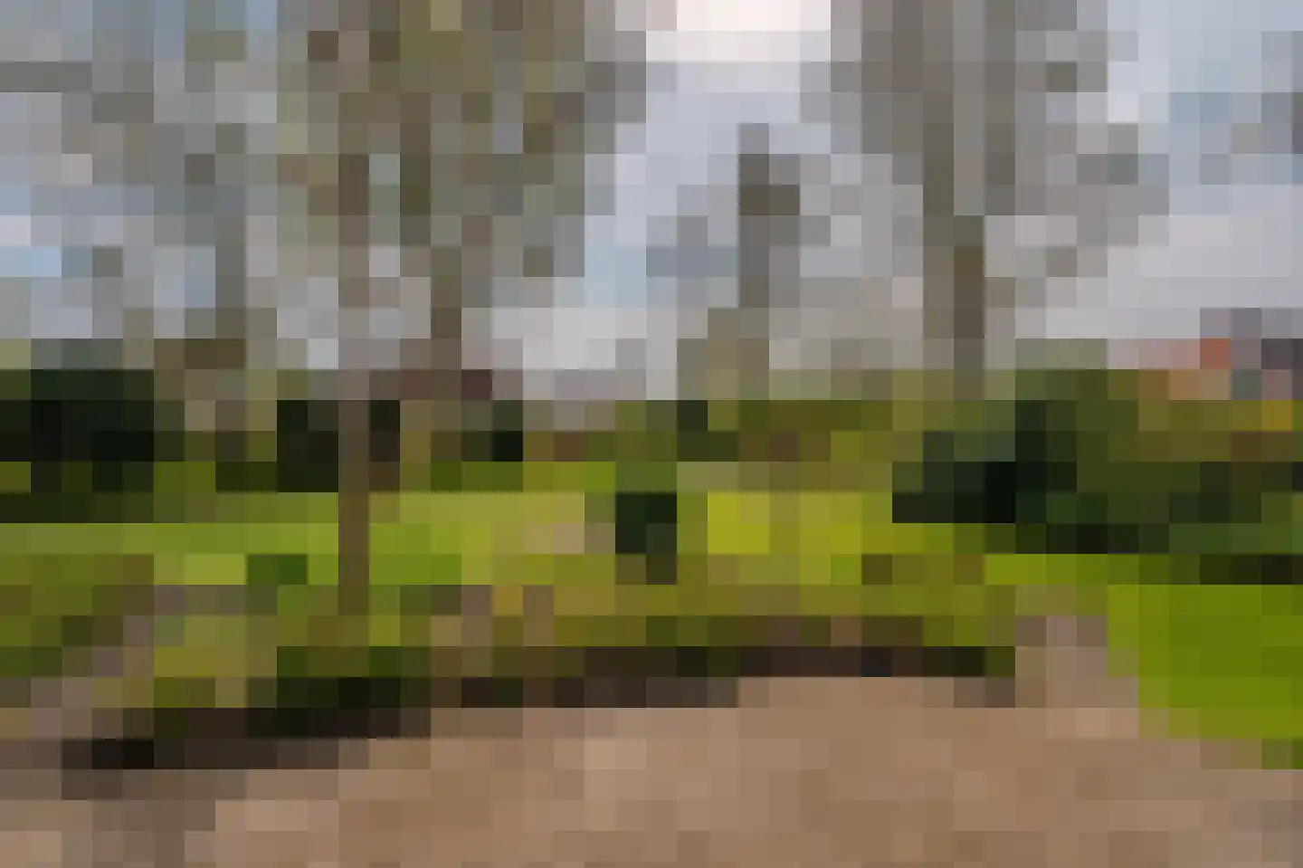 Hoethslaan 11 A Heiligerlee thumbnail 57