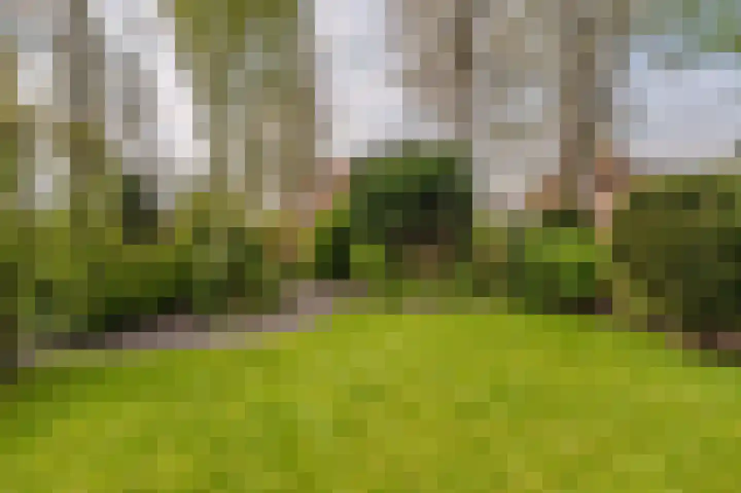 Hoethslaan 11 A Heiligerlee thumbnail 60