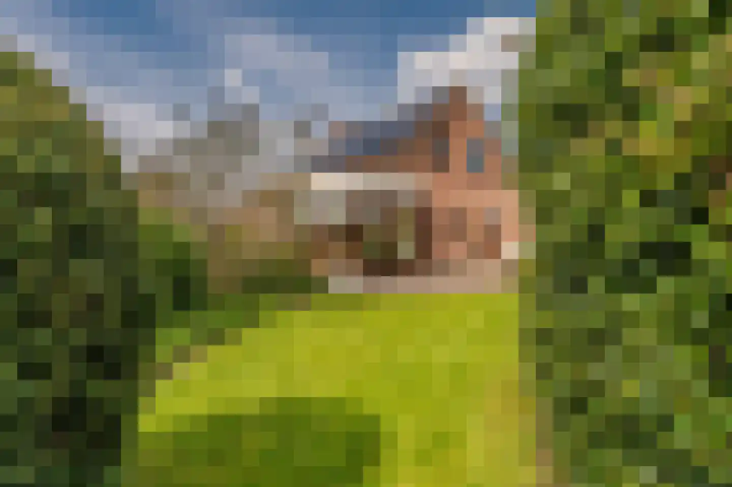 Hoethslaan 11 A Heiligerlee thumbnail 62