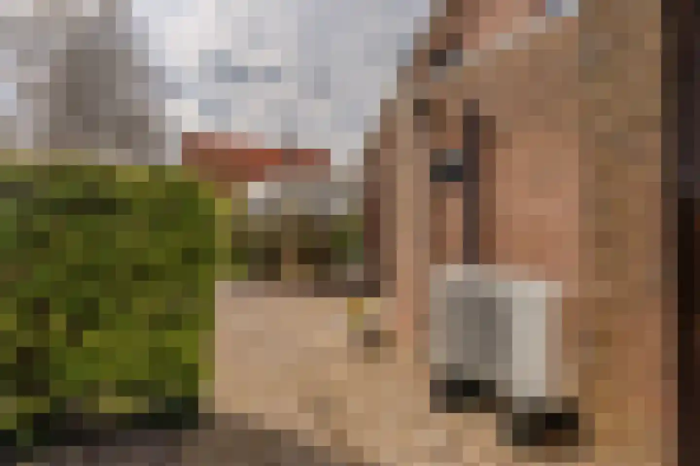 Hoethslaan 11 A Heiligerlee thumbnail 65