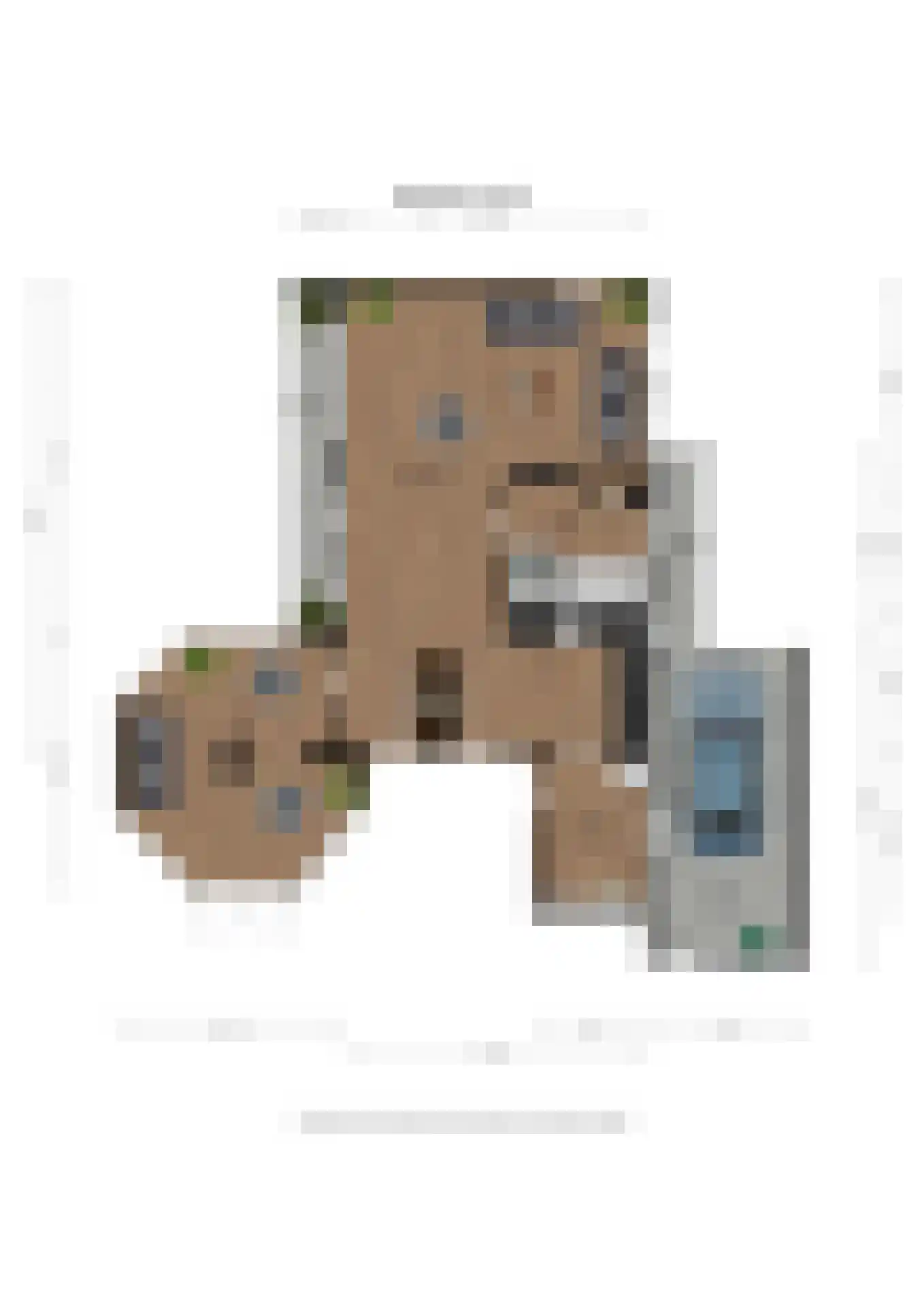 Hoethslaan 11 A Heiligerlee thumbnail 71