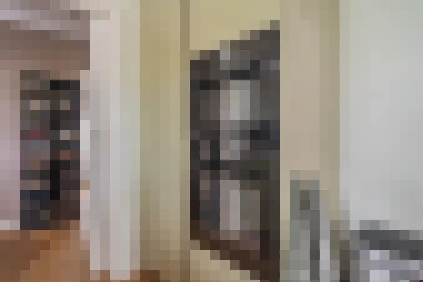 Hoethslaan 2 Heiligerlee thumbnail 28