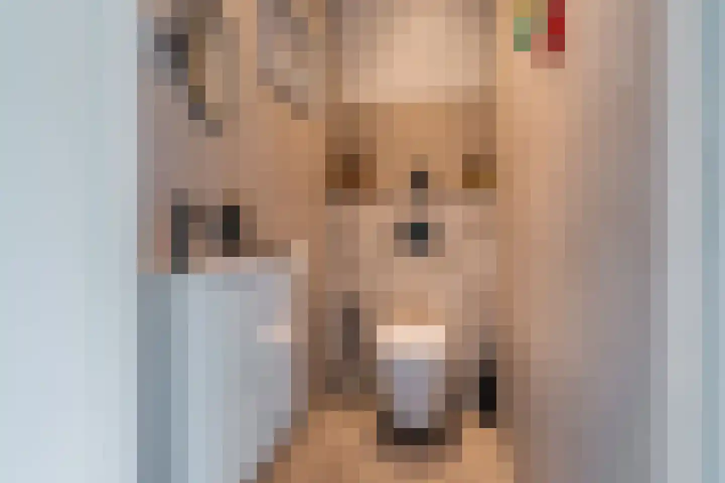 Hoethslaan 2 Heiligerlee thumbnail 34