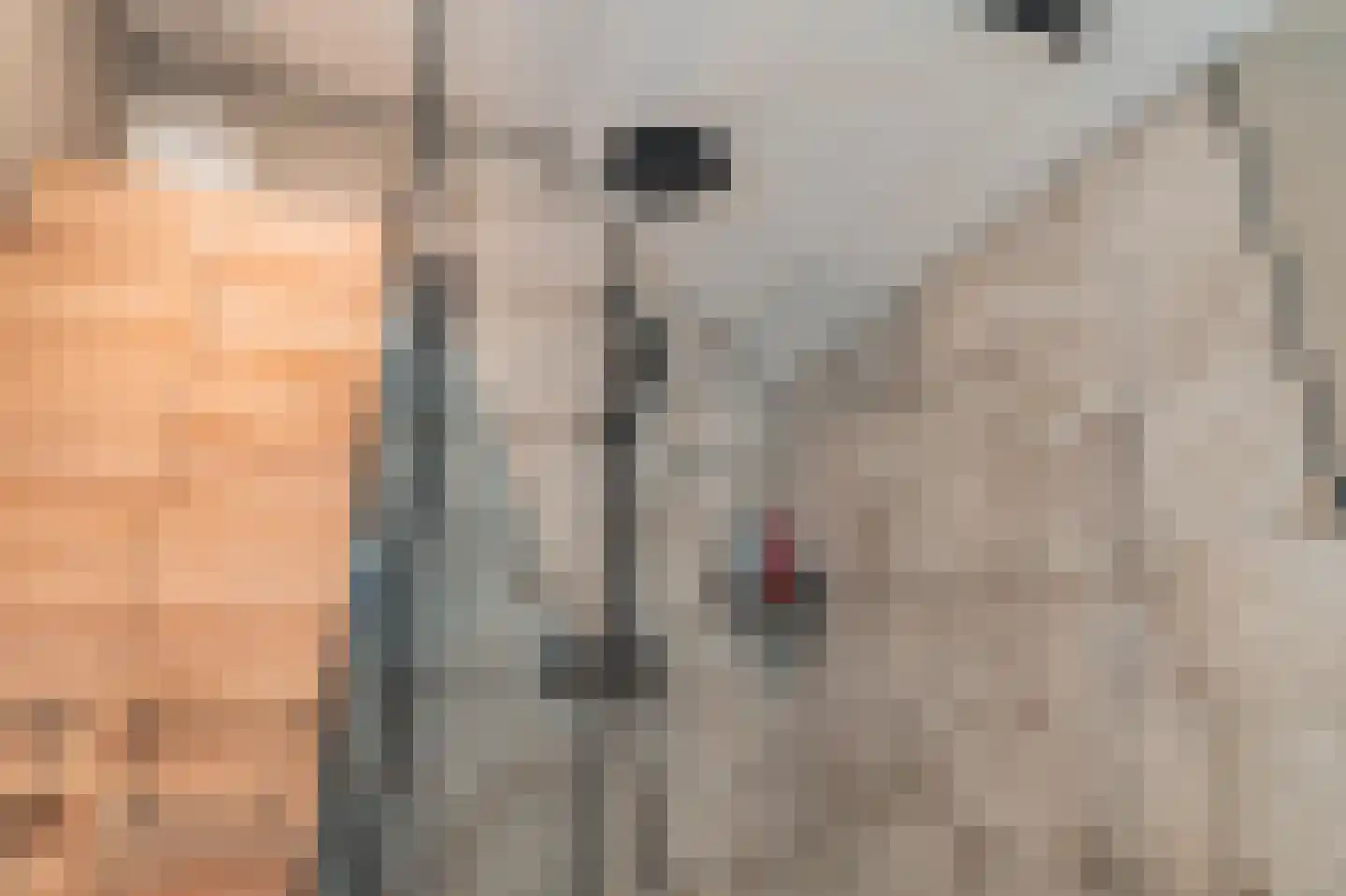 Hoethslaan 2 Heiligerlee thumbnail 38