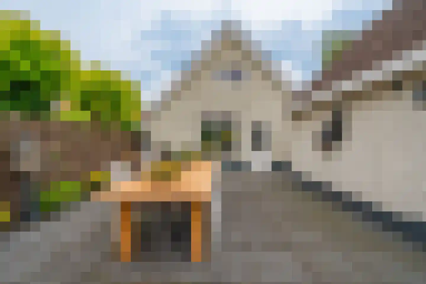 Hoethslaan 2 Heiligerlee thumbnail 52