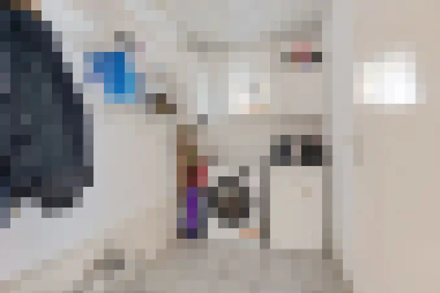 Hoethslaan 5 Midwolda thumbnail 17