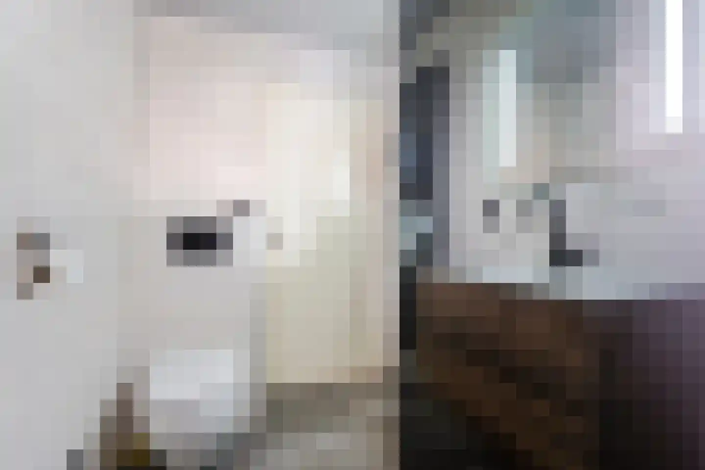 Hoethslaan 5 Midwolda thumbnail 19