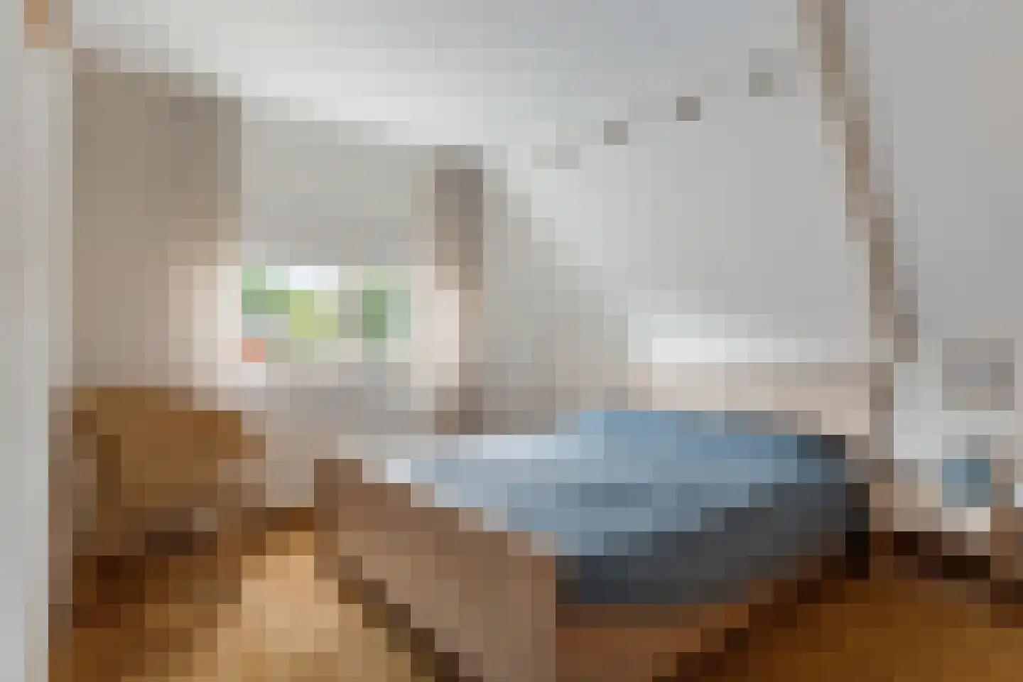 Hoethslaan 5 Midwolda thumbnail 27