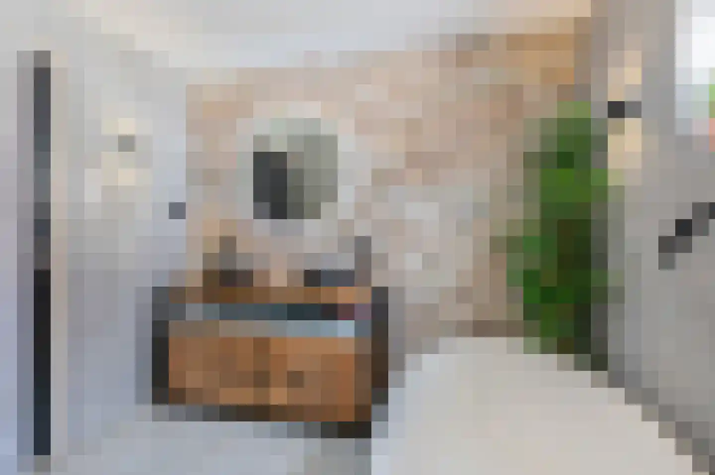 Hoethslaan 6 Heiligerlee thumbnail 18