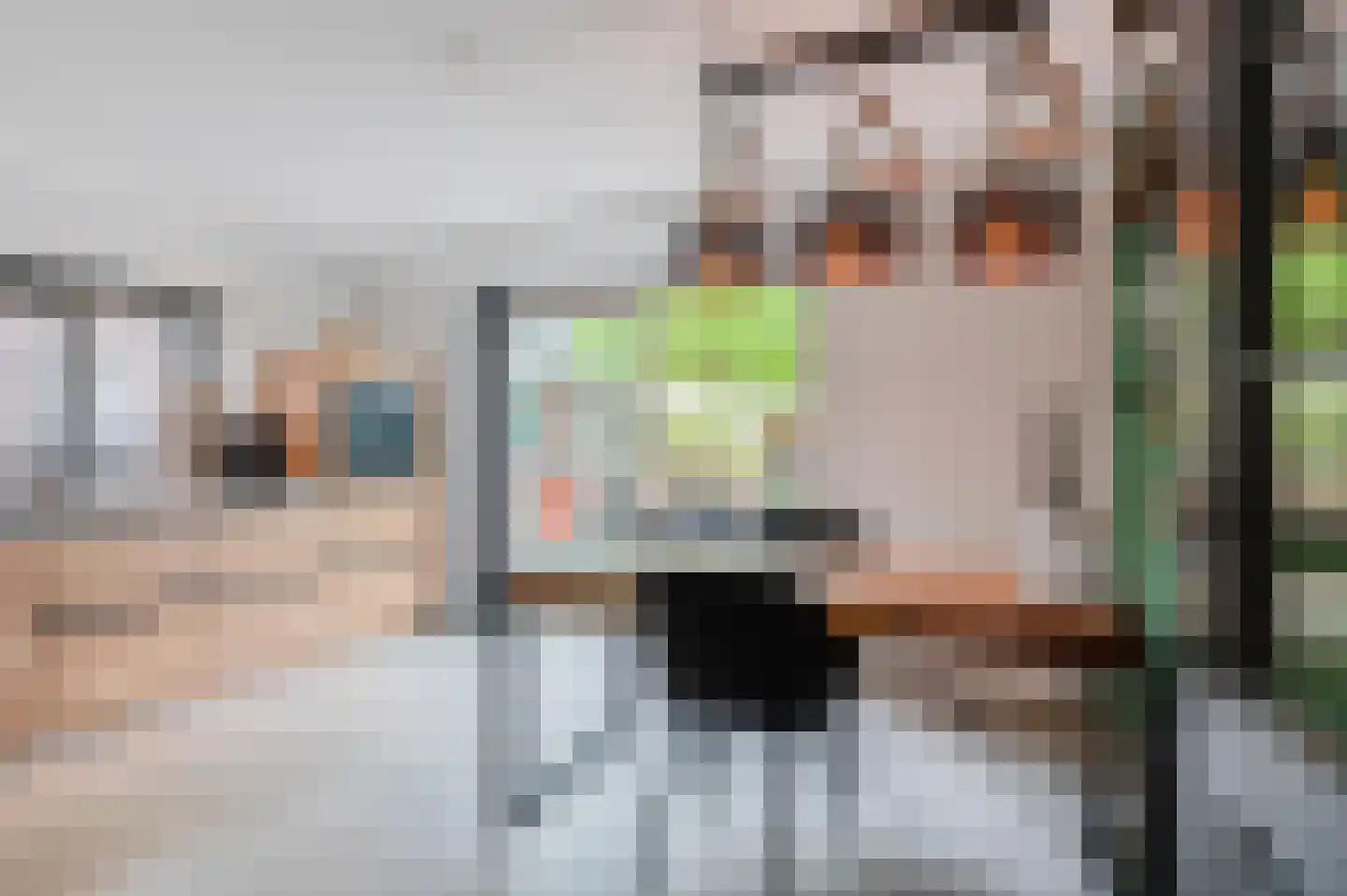 Hoethslaan 6 Heiligerlee thumbnail 20