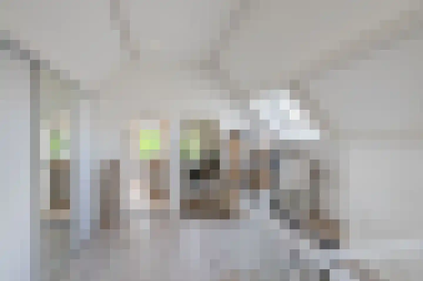 Hoethslaan 6 Heiligerlee thumbnail 26