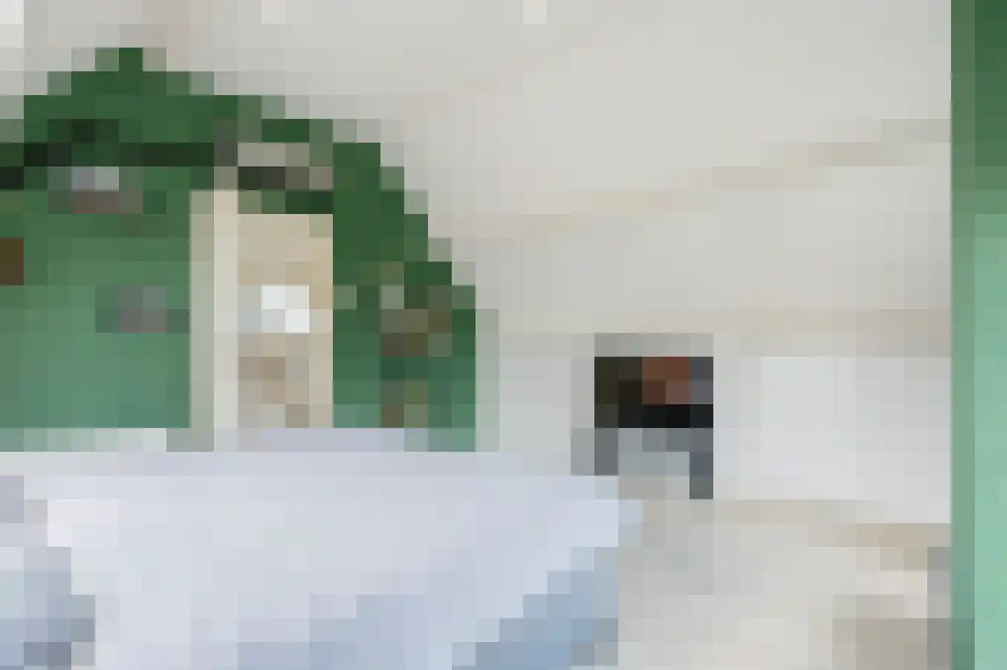 Hoethslaan 6 Heiligerlee thumbnail 29