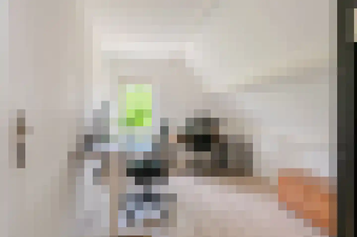 Hoethslaan 6 Heiligerlee thumbnail 33