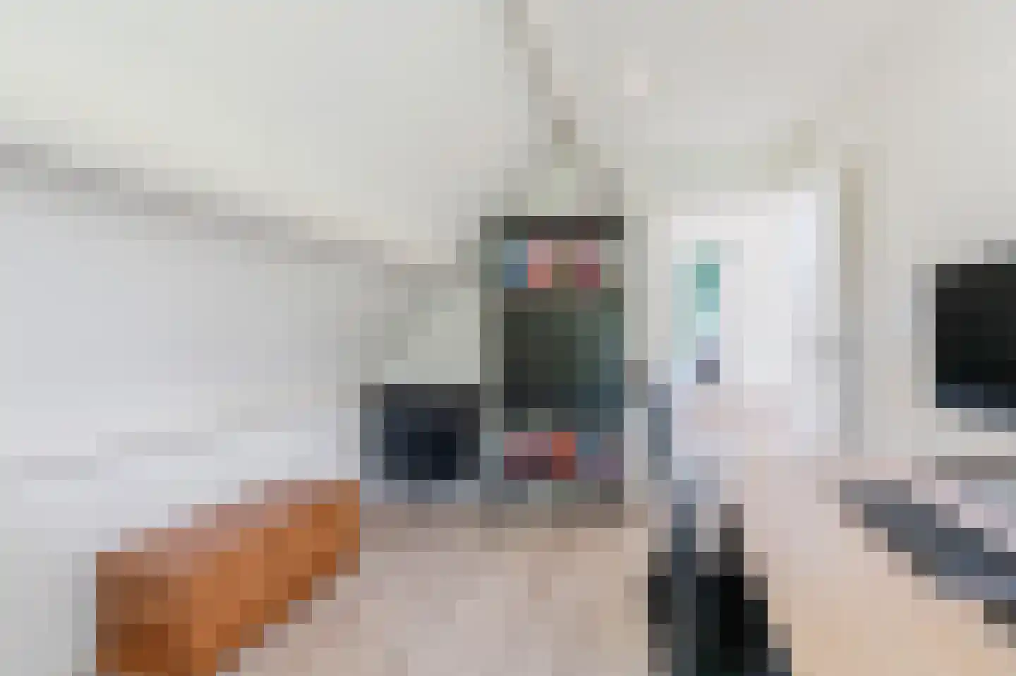 Hoethslaan 6 Heiligerlee thumbnail 34