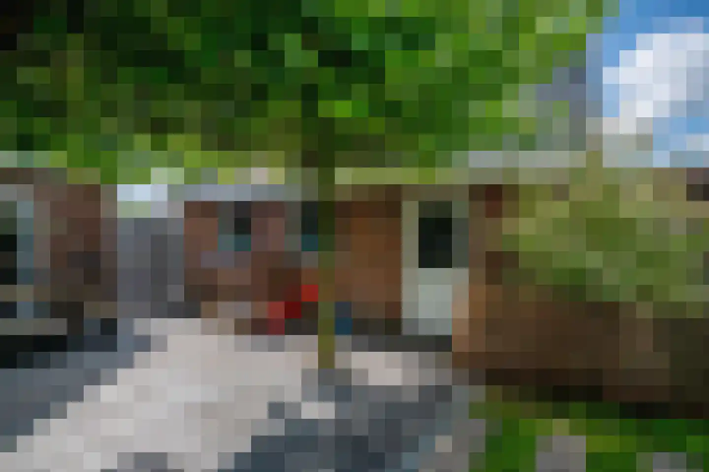 Hoethslaan 6 Heiligerlee thumbnail 38