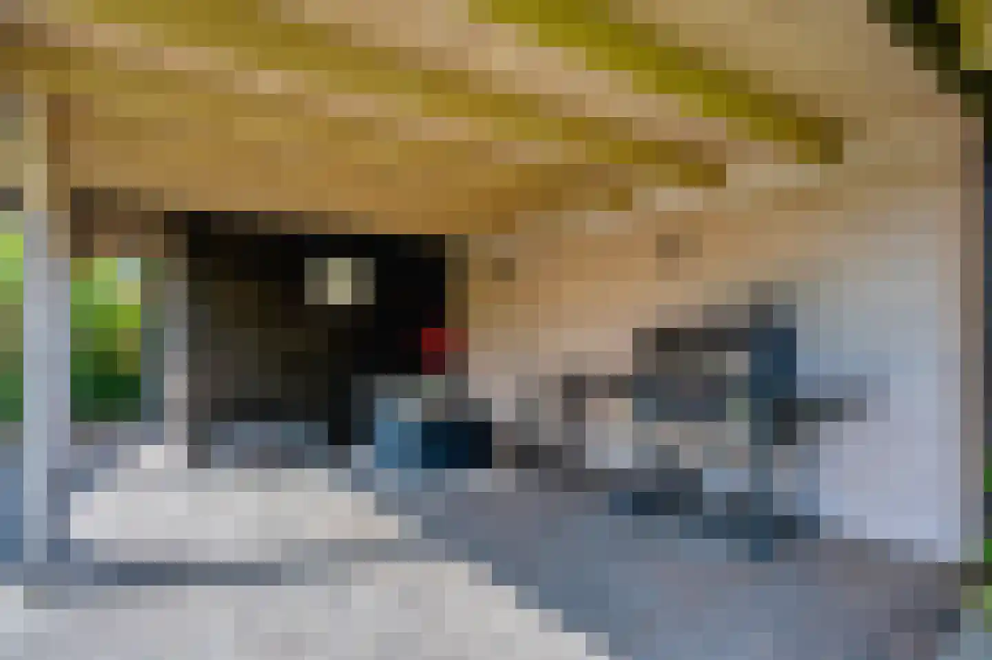 Hoethslaan 6 Heiligerlee thumbnail 45