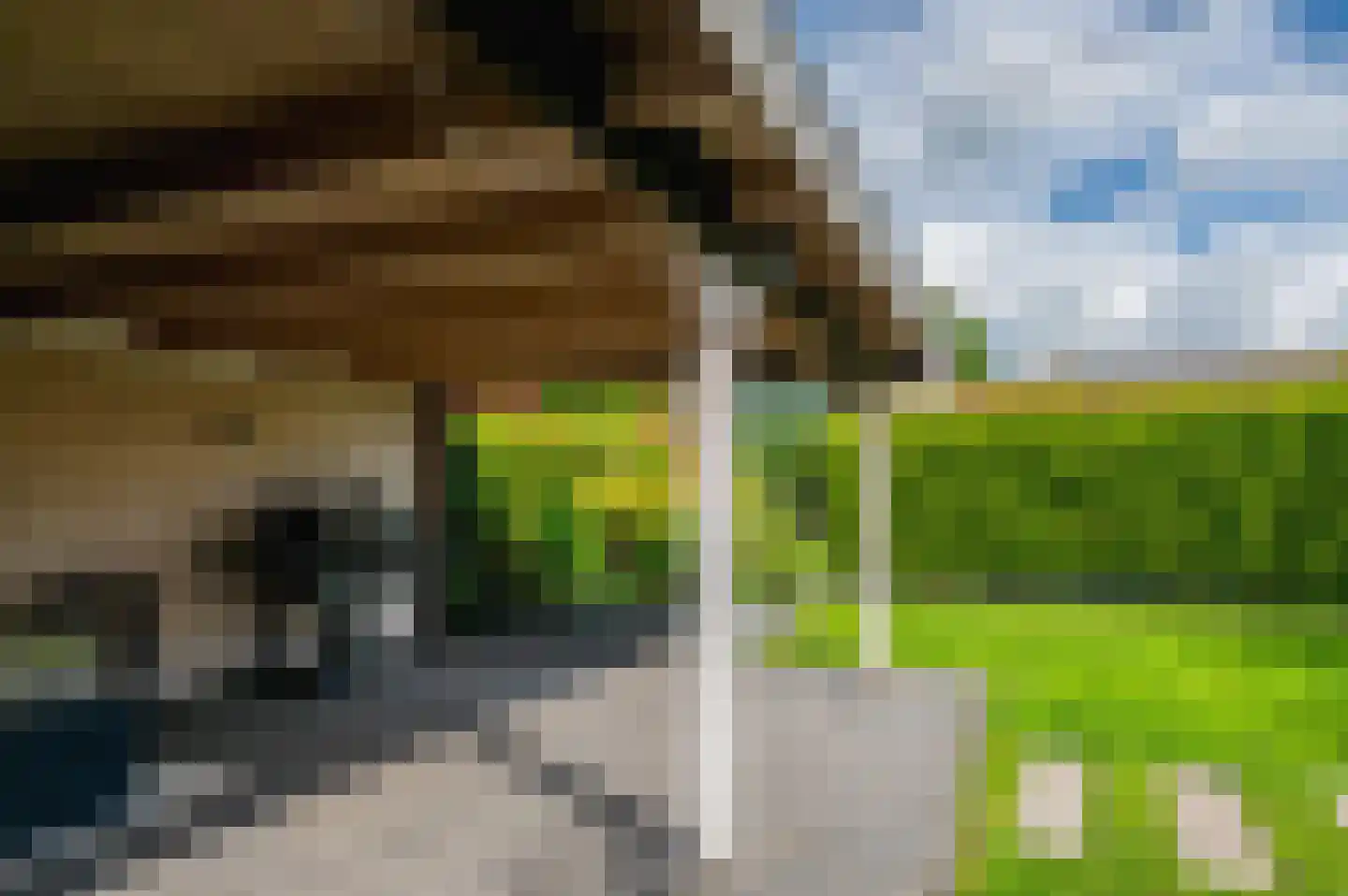 Hoethslaan 6 Heiligerlee thumbnail 46