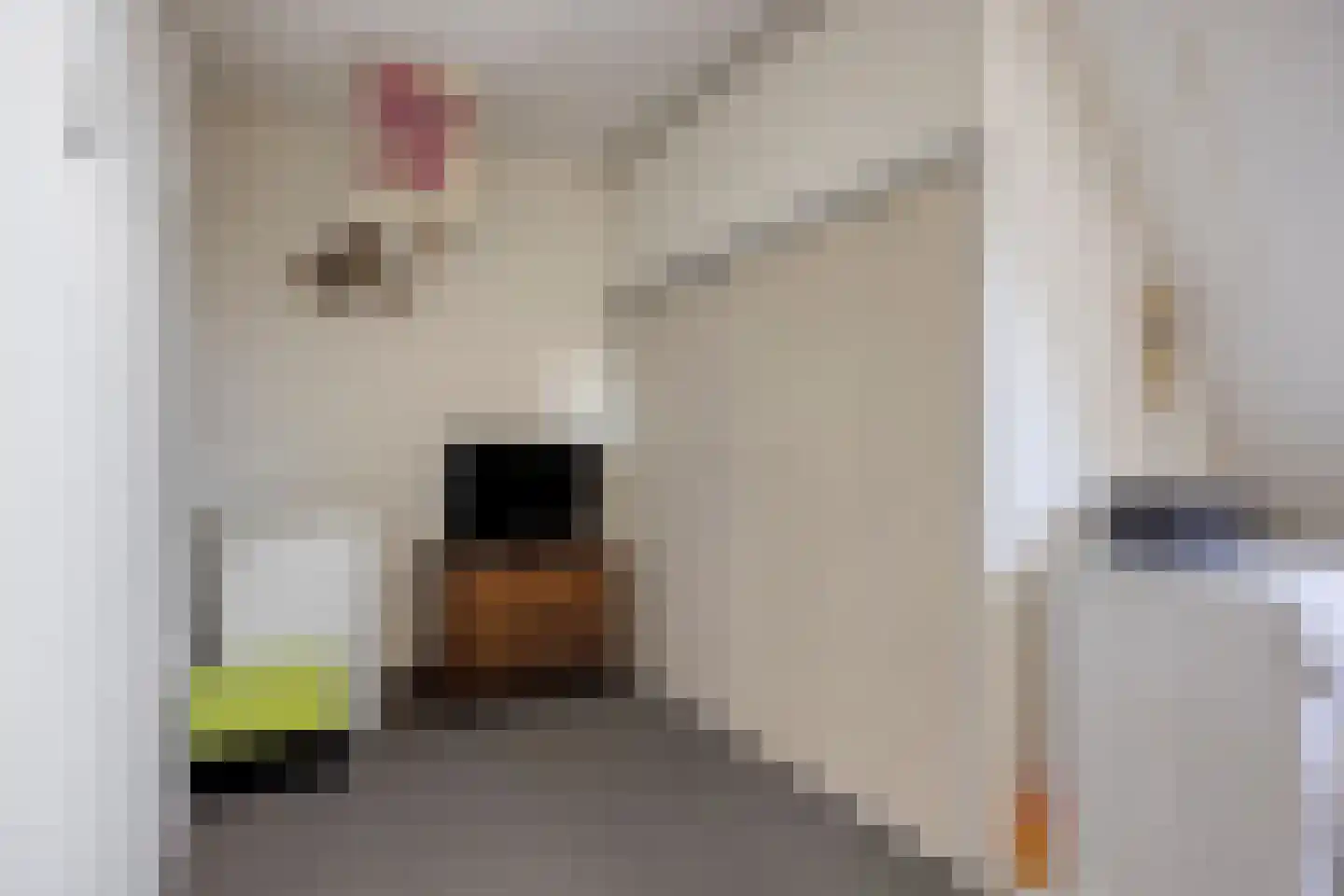 Hoeting 32 Leuth thumbnail 18