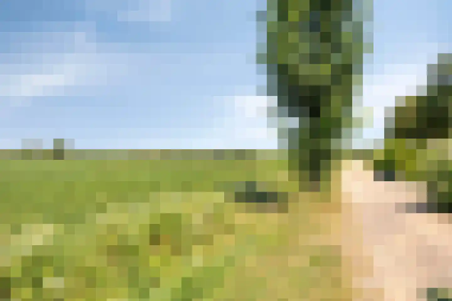 Hoeting 32 Leuth thumbnail 26