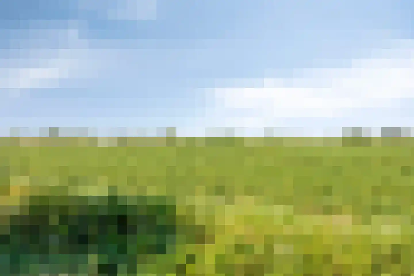Hoeting 32 Leuth thumbnail 27