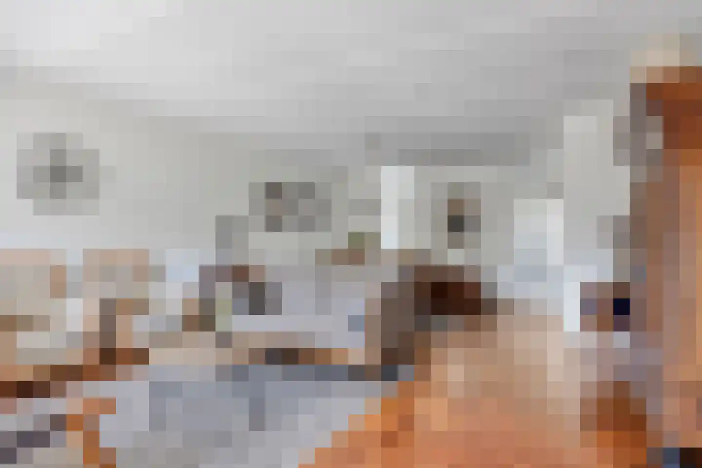 Hoeting 32 Leuth thumbnail 7