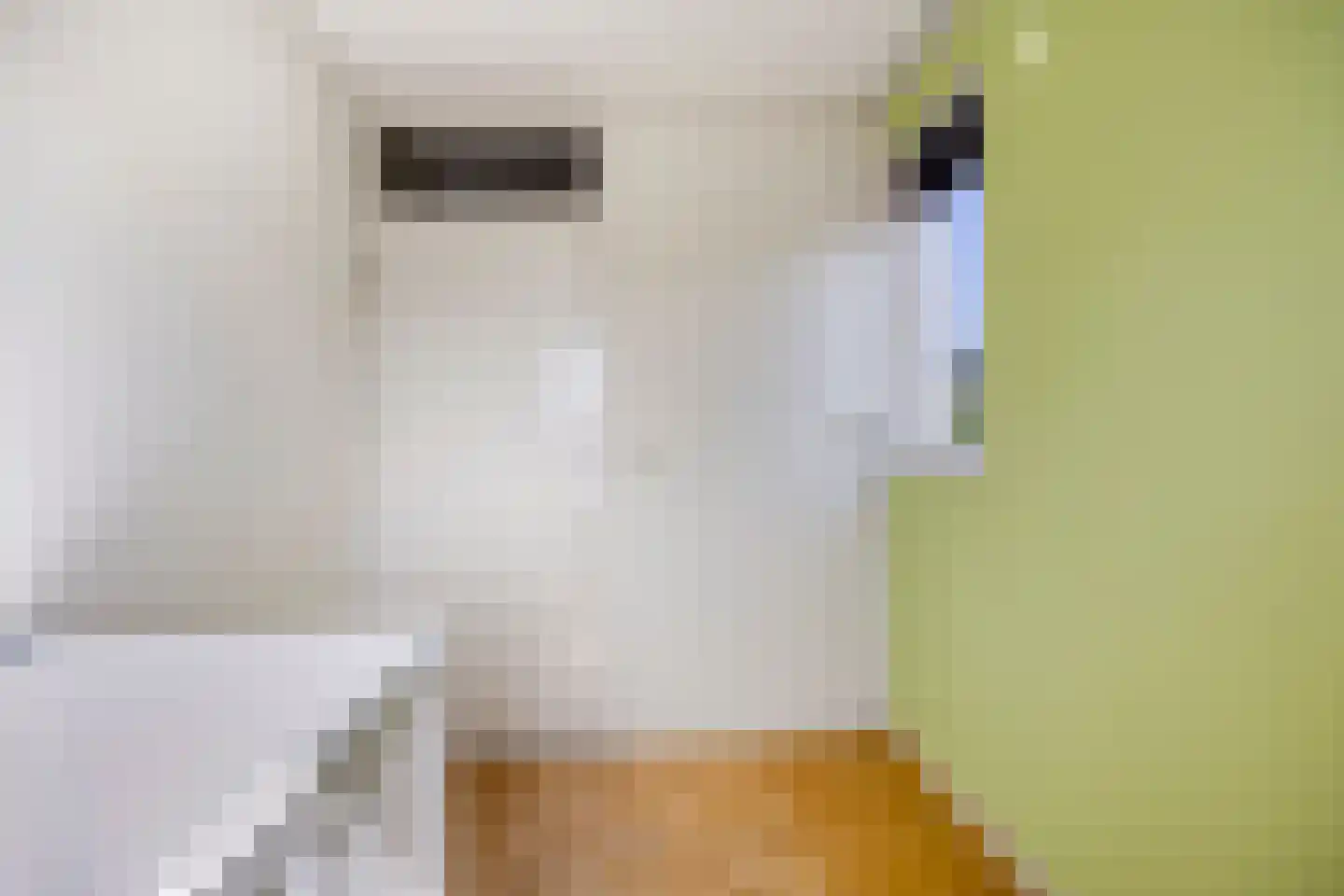 Hoeting 6 Leuth thumbnail 13