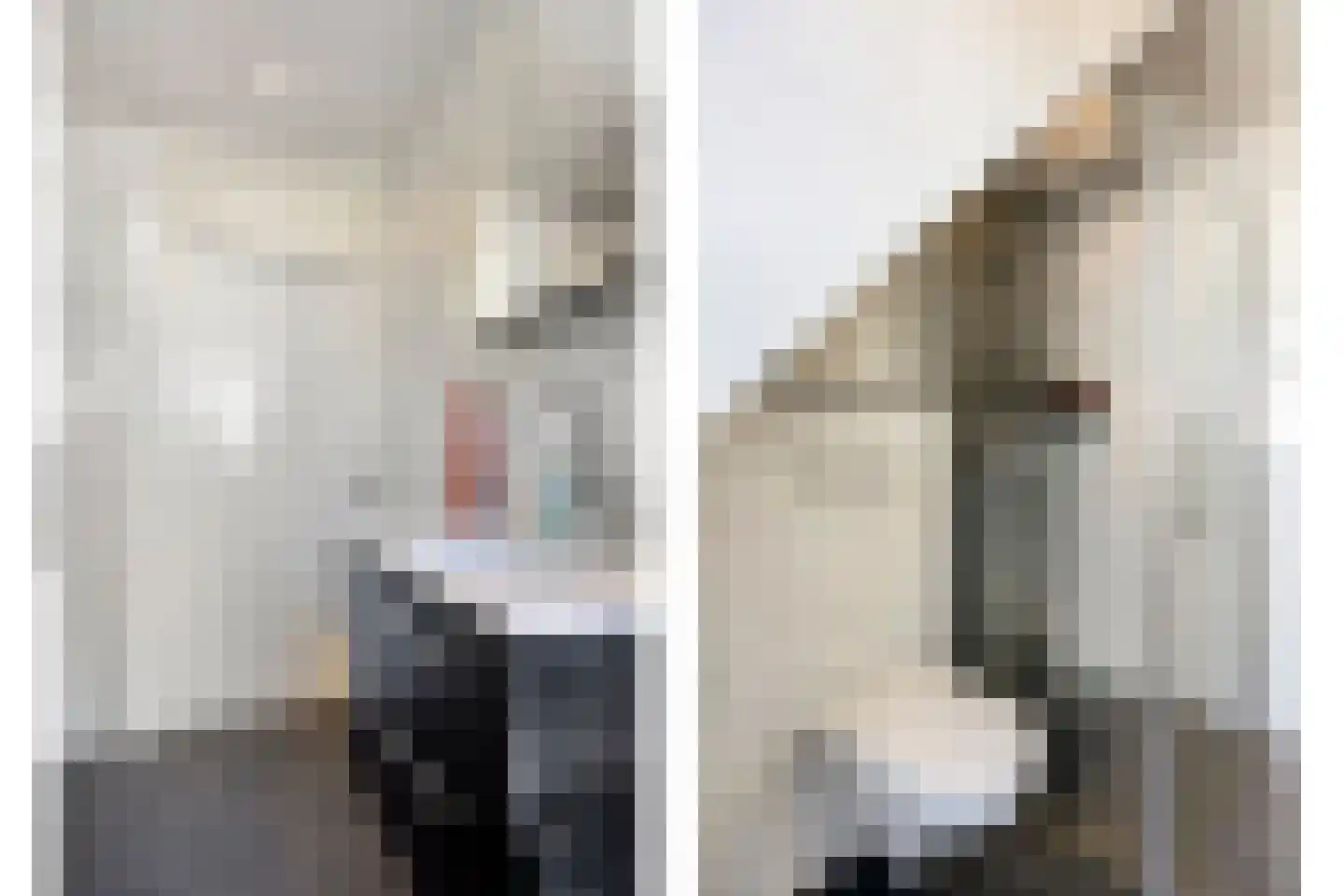 Hoeting 6 Leuth thumbnail 17