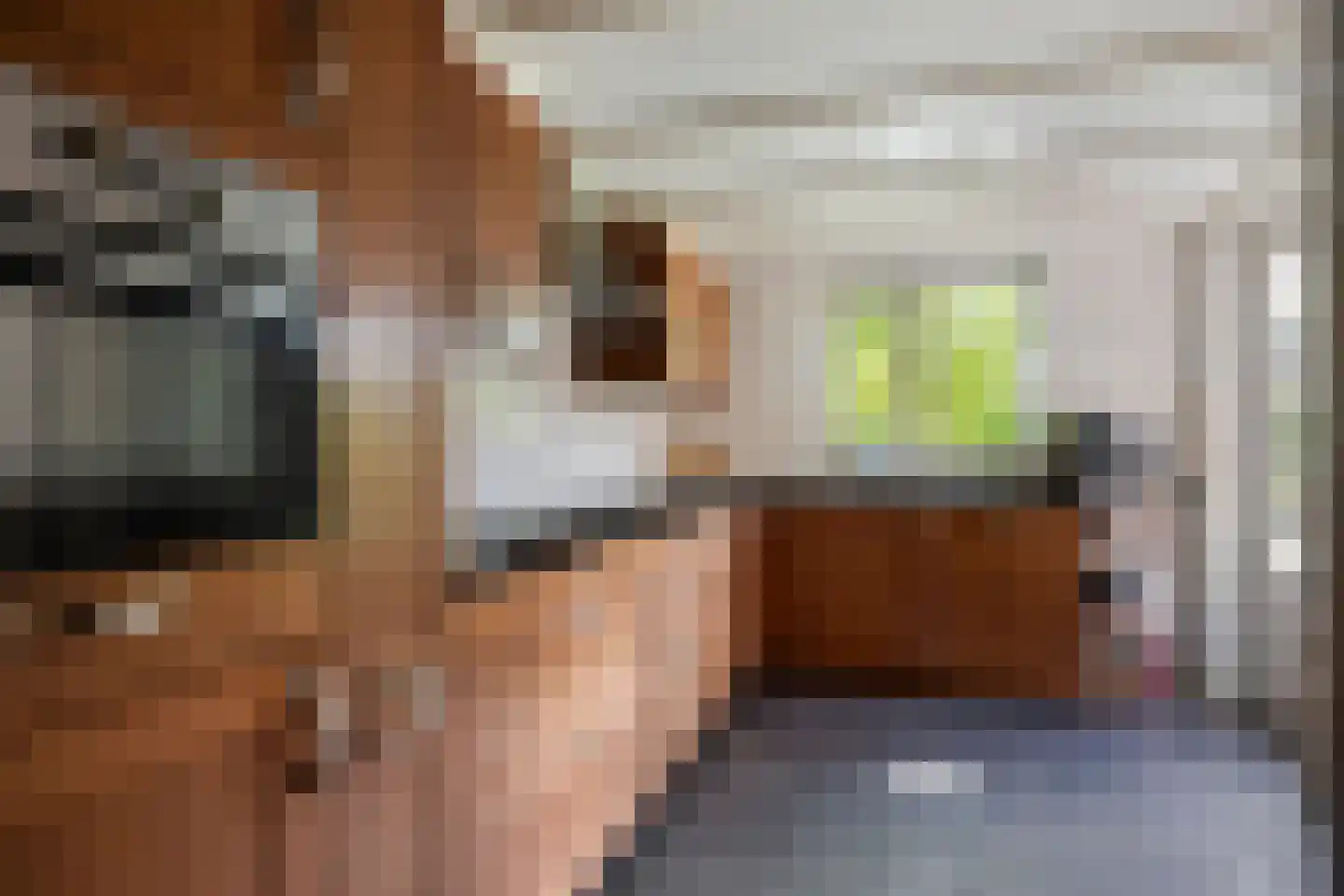 Hoeting 6 Leuth thumbnail 9