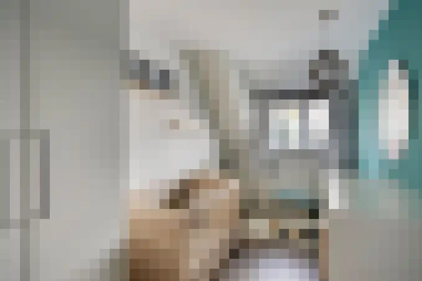 Hoeting 99 Leuth thumbnail 11